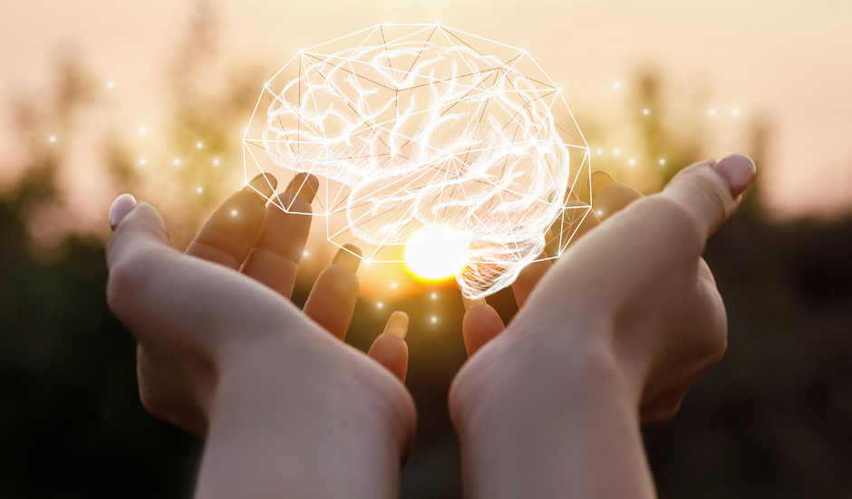 Pain Science: What do they mean when they say all pain is in the brain